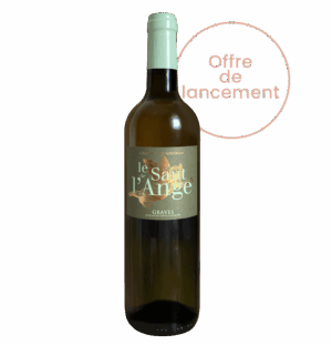 Le Saut de l'Ange blanc - 2024