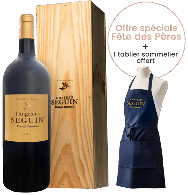 L'Angelot de Seguin - 2018 - Caisse bois d'un Magnum