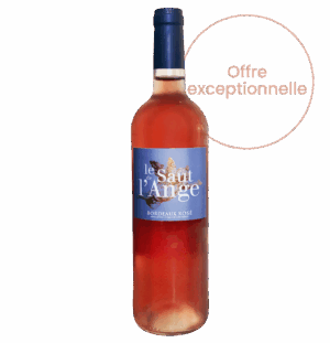 Le Saut de l'Ange Rosé 2024 - 12 bouteilles