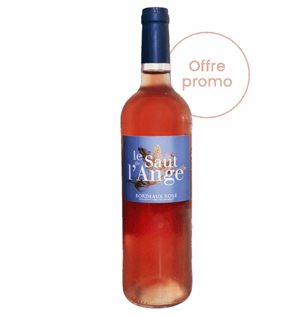 Le Saut de l'Ange Rosé - 2024